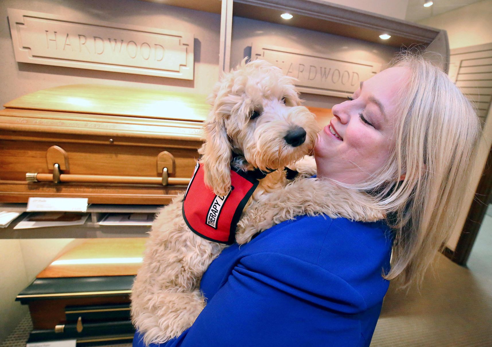 Quimby Grief therapy dog